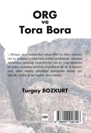 Realist Roman, Nat�ralist Roman