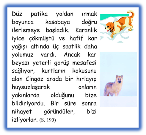 D�z patika yoldan ırmak boyunca kasabaya doğru ilerlemeye başladık. Karanlık iyice ��km�şt� ve hafif kar yağışı altında �� saatlik daha yolumuz vardı. Ancak kar beyazı yeterli g�r�ş mesafesi sağlıyor, kurtların kokusunu alan Cing�z arada bir hırlayıp huysuzlaşarak onların yakınlarda olduğunu bize bildiriyordu. Bir s�re sonra nihayet g�r�nd�ler, bizi izliyorlar.